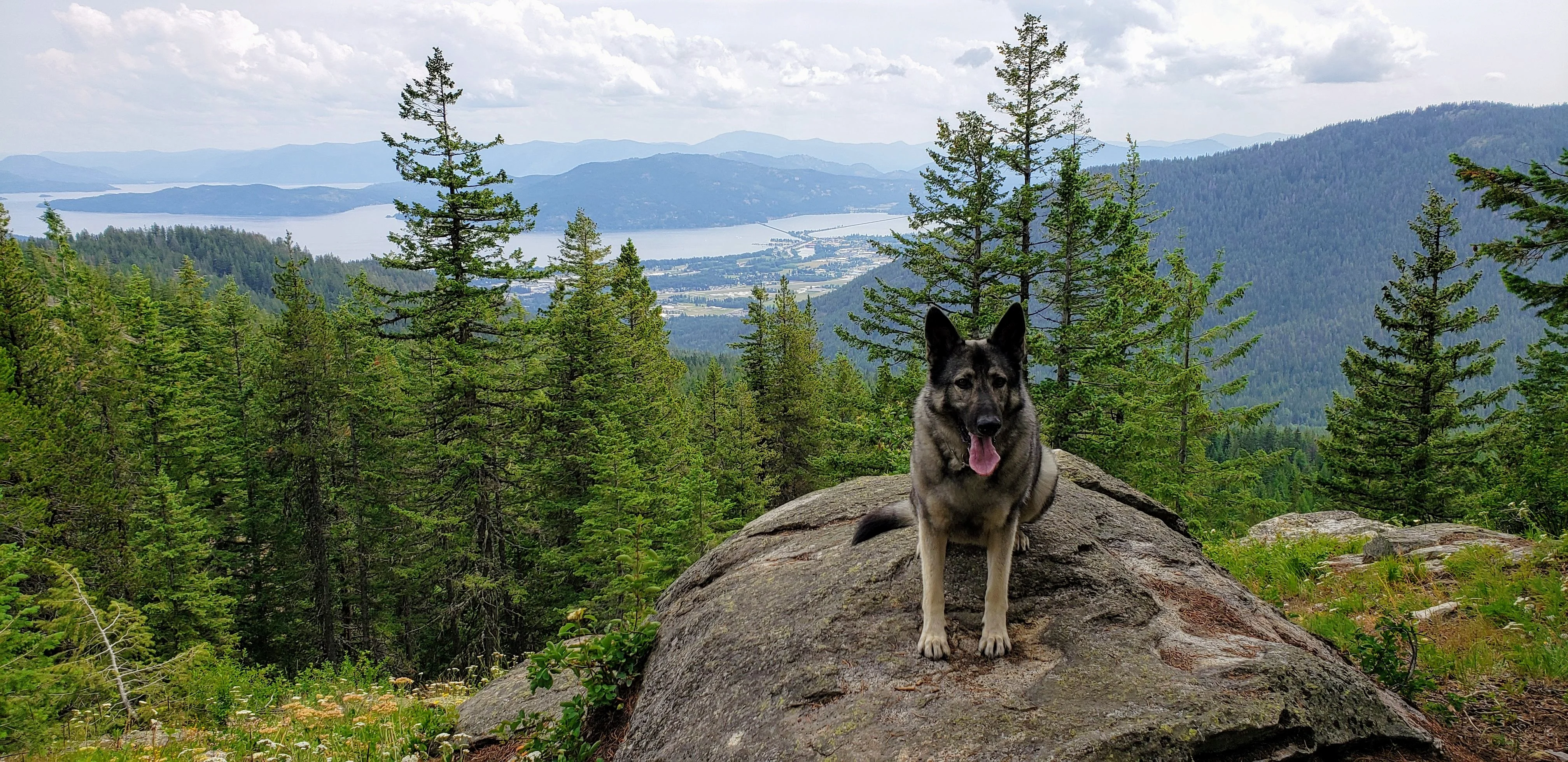 20190705_142148.webp
