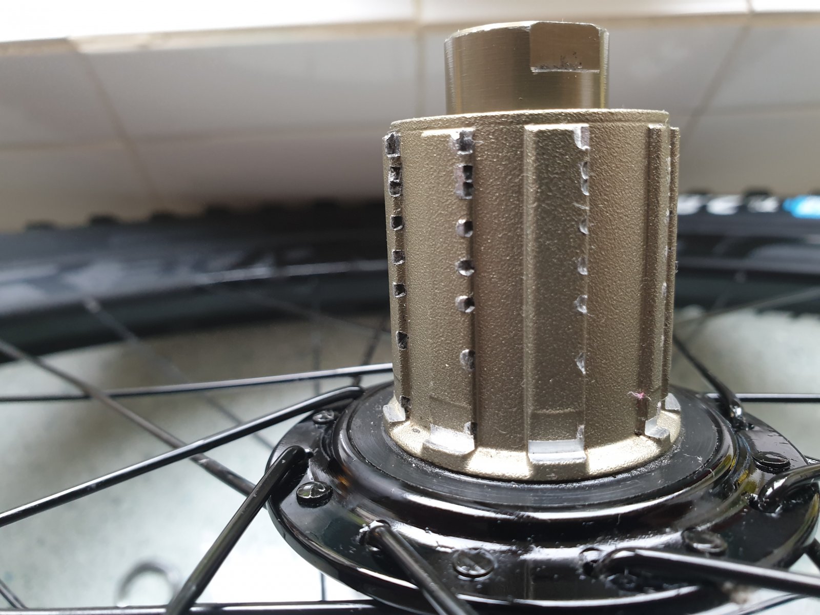 20190709_142013.jpg