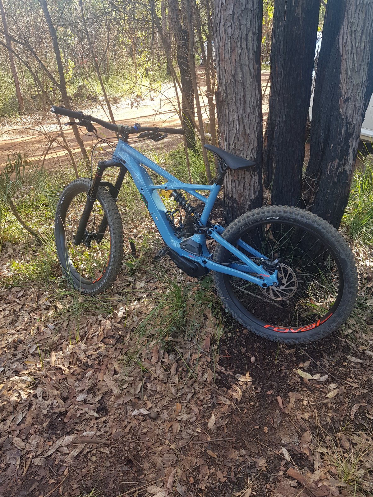 20190713_094336.jpg