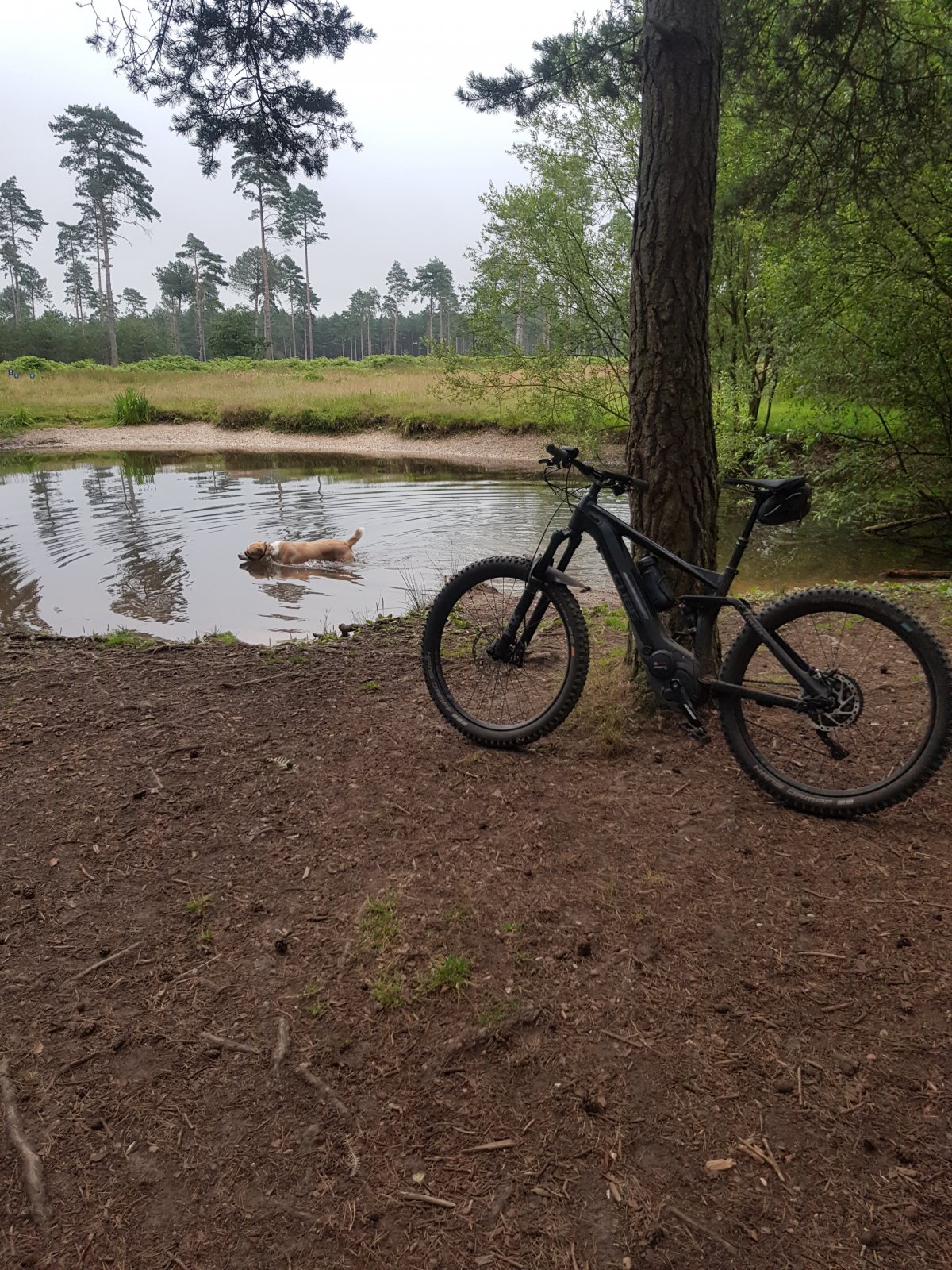 20190714_073132.jpg