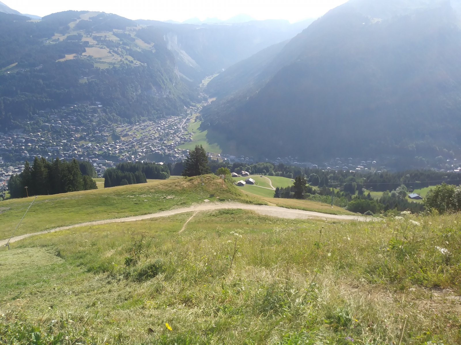 20190718_092028.jpg