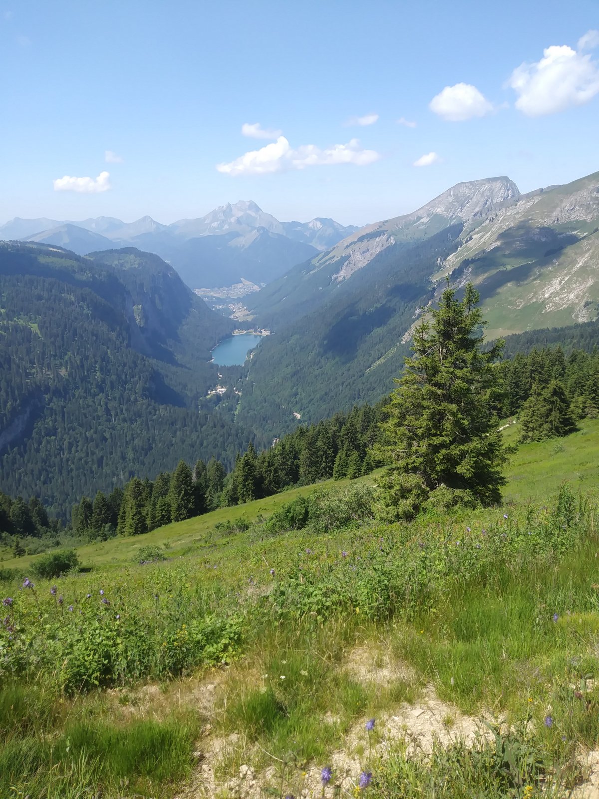20190719_121817.jpg