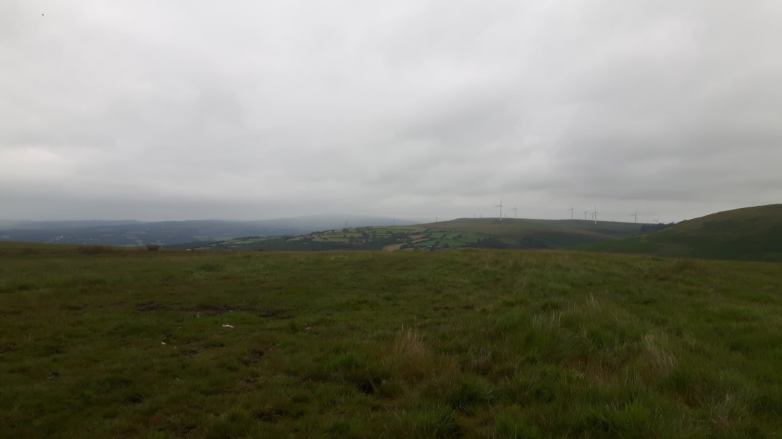 20190720_124052.jpg