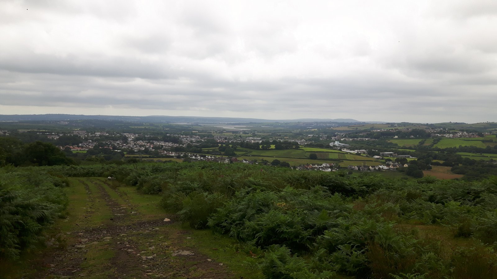 20190720_130430.jpg
