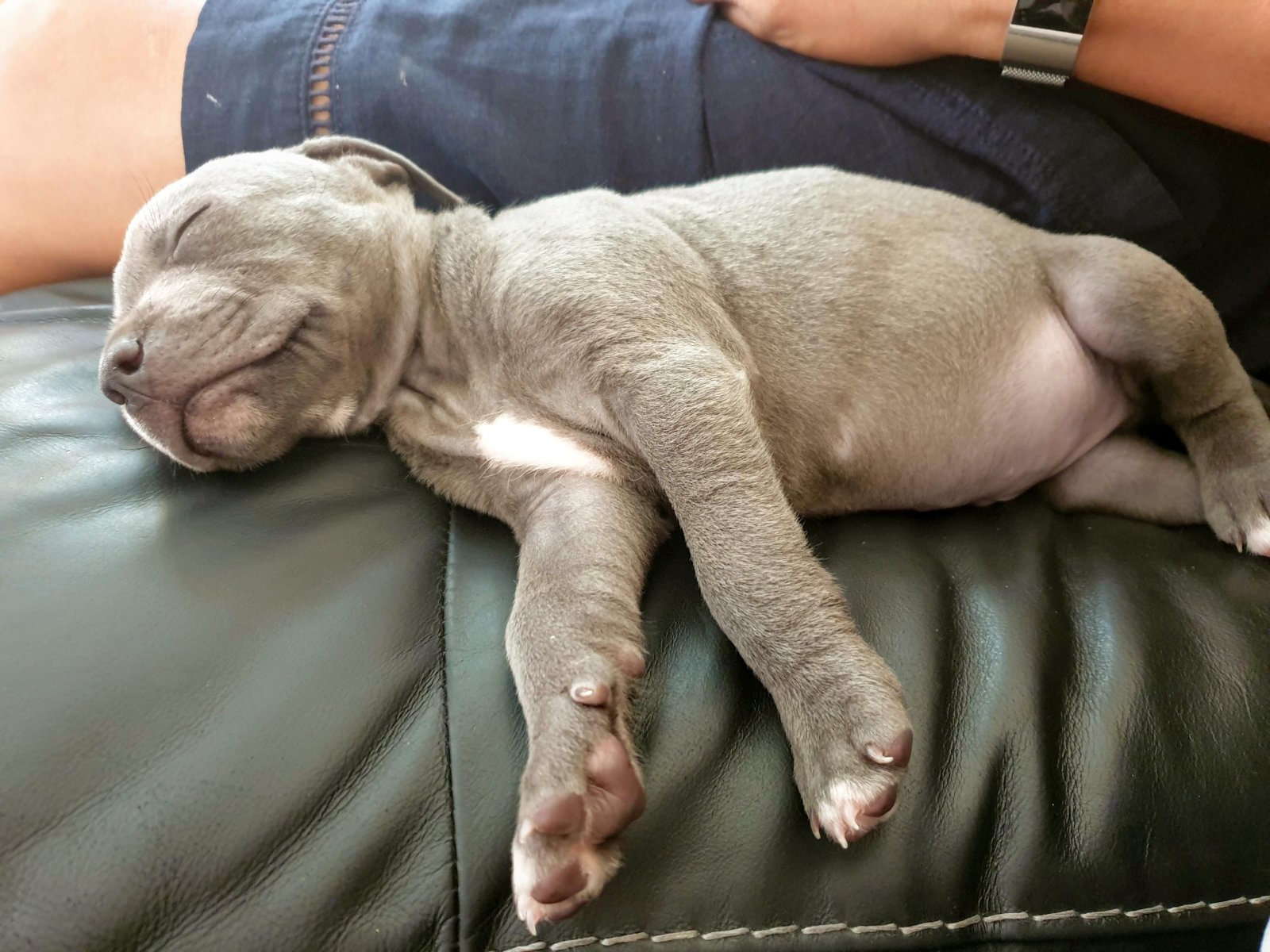 20190818_122100.jpg