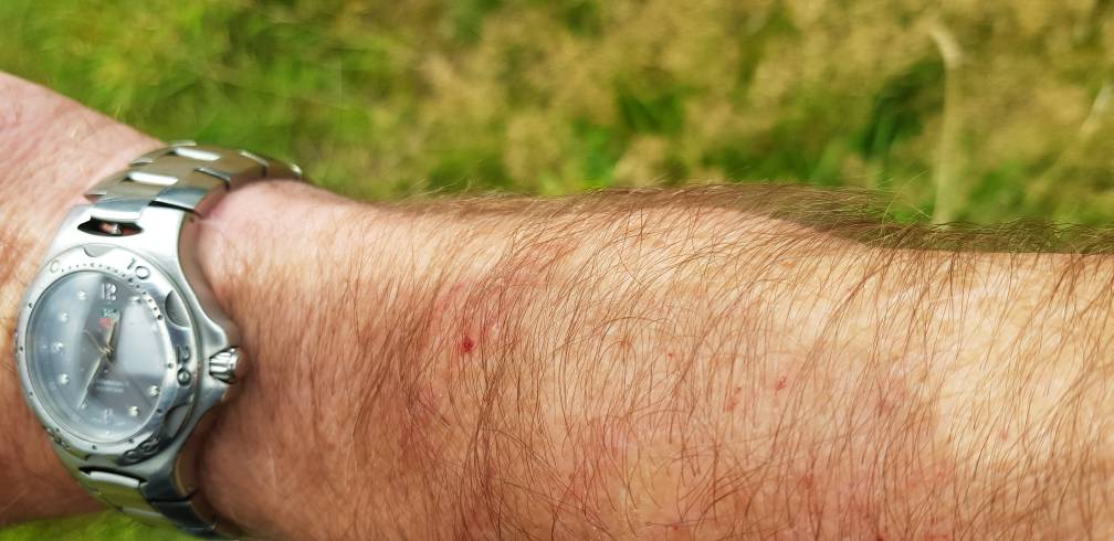 20190819_123546.jpg