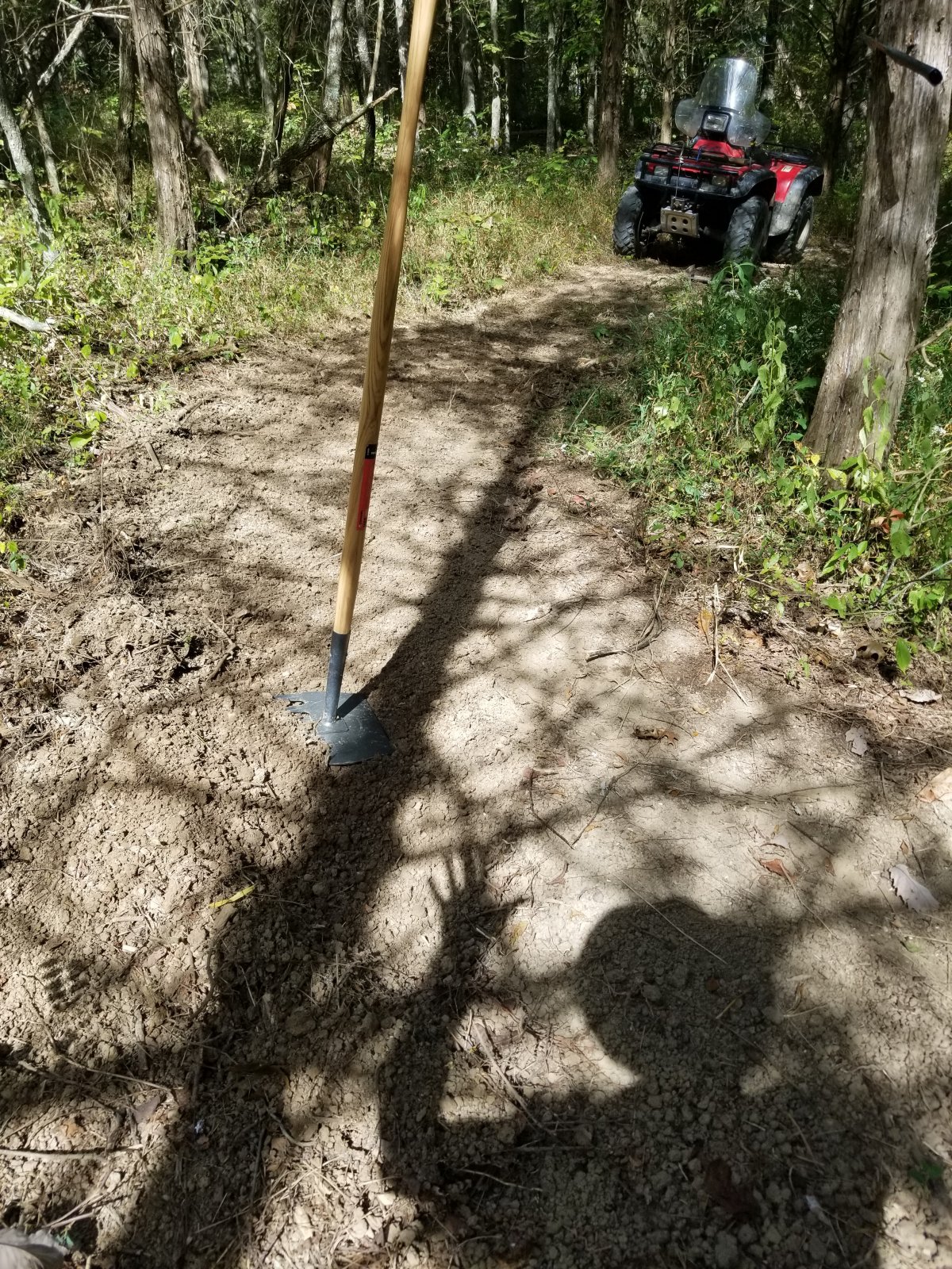 20190914_155245.jpg