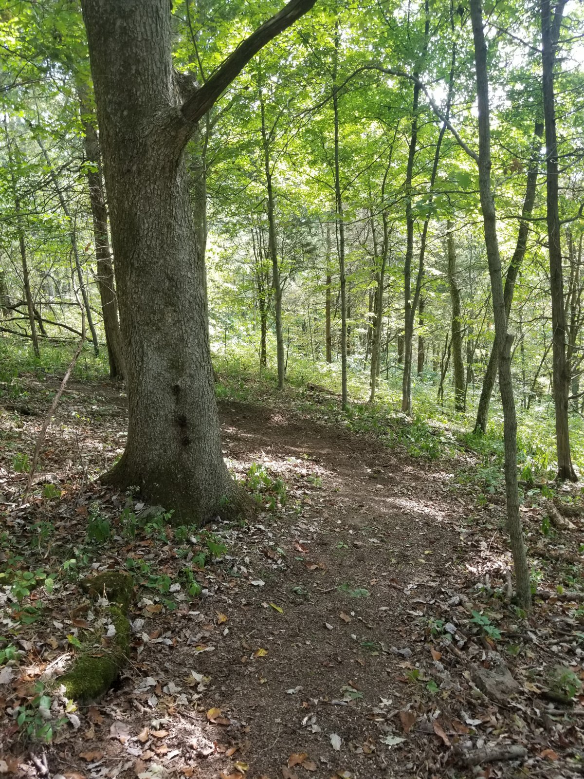 20190915_123638.jpg