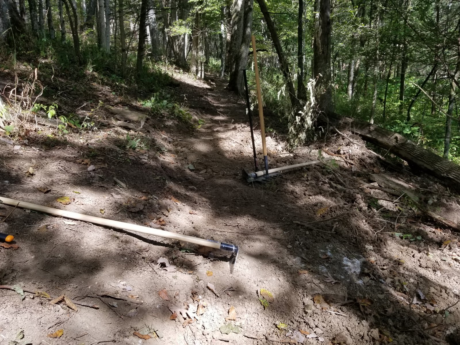 20190922_153625.jpg