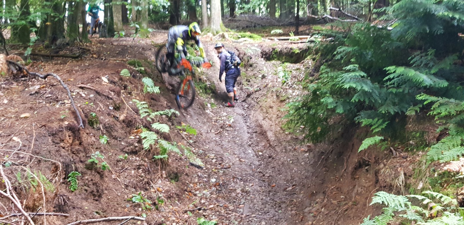 20190928_115213.jpg