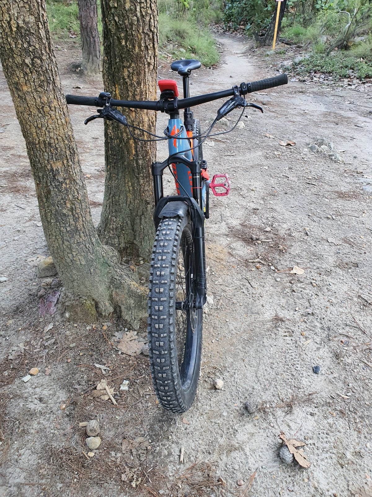 20191005_174411.jpg