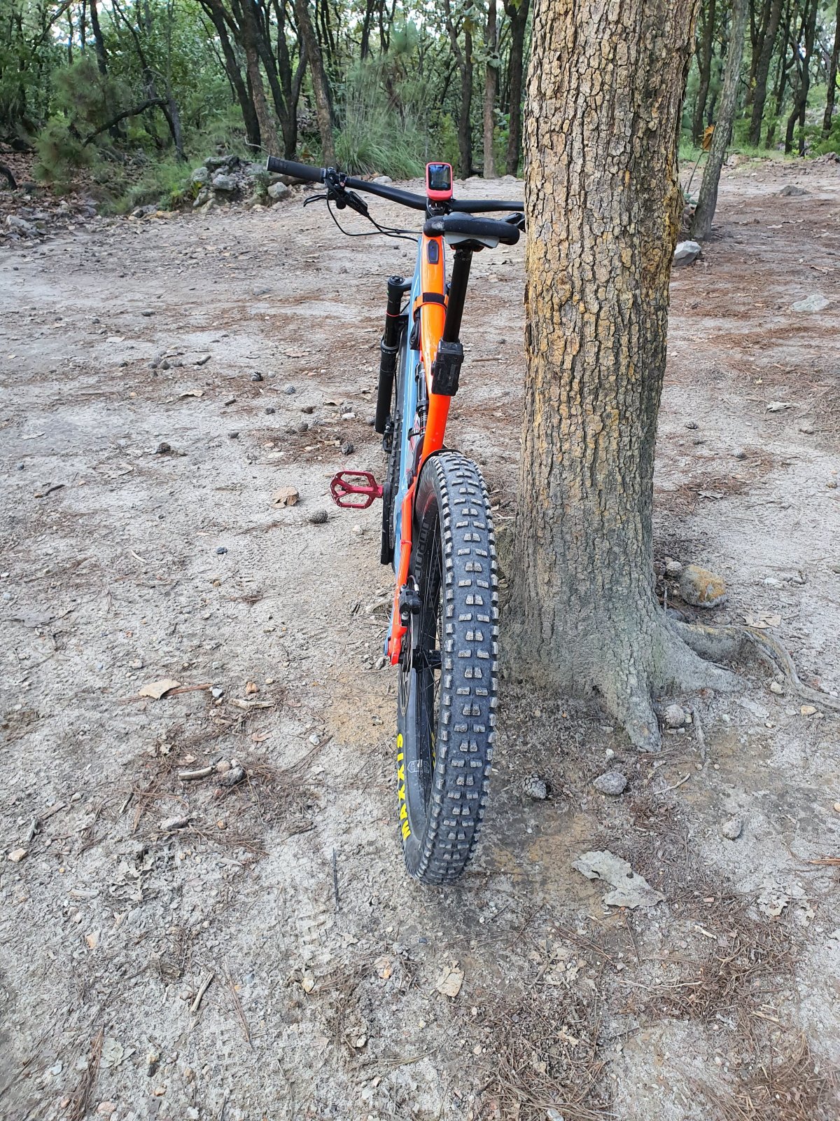 20191005_174422.jpg