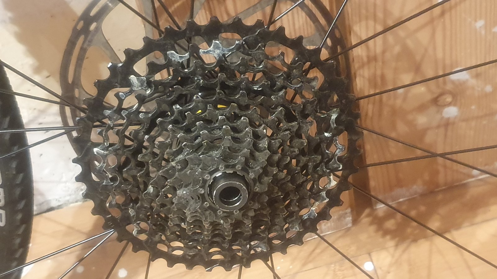 20191106_212906.jpg