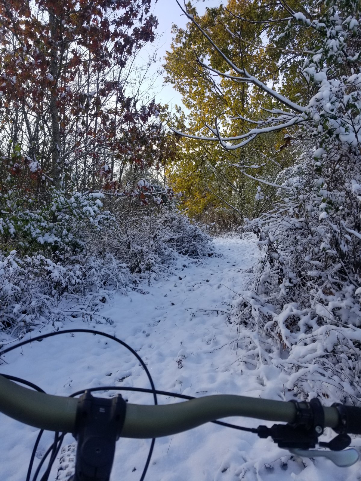 20191112_102628.jpg