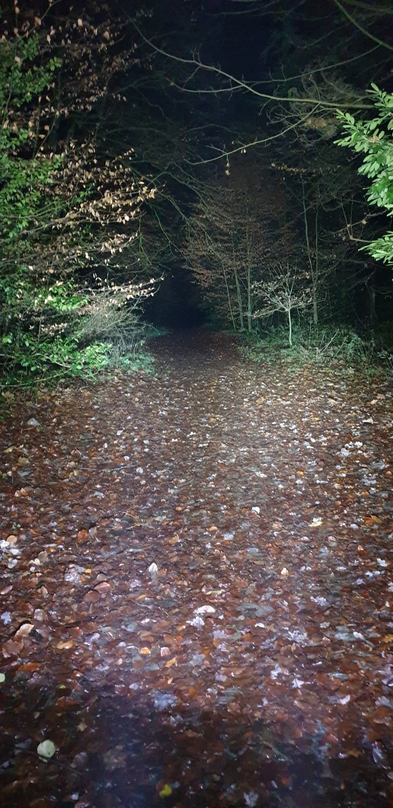 20191204_175250.jpg