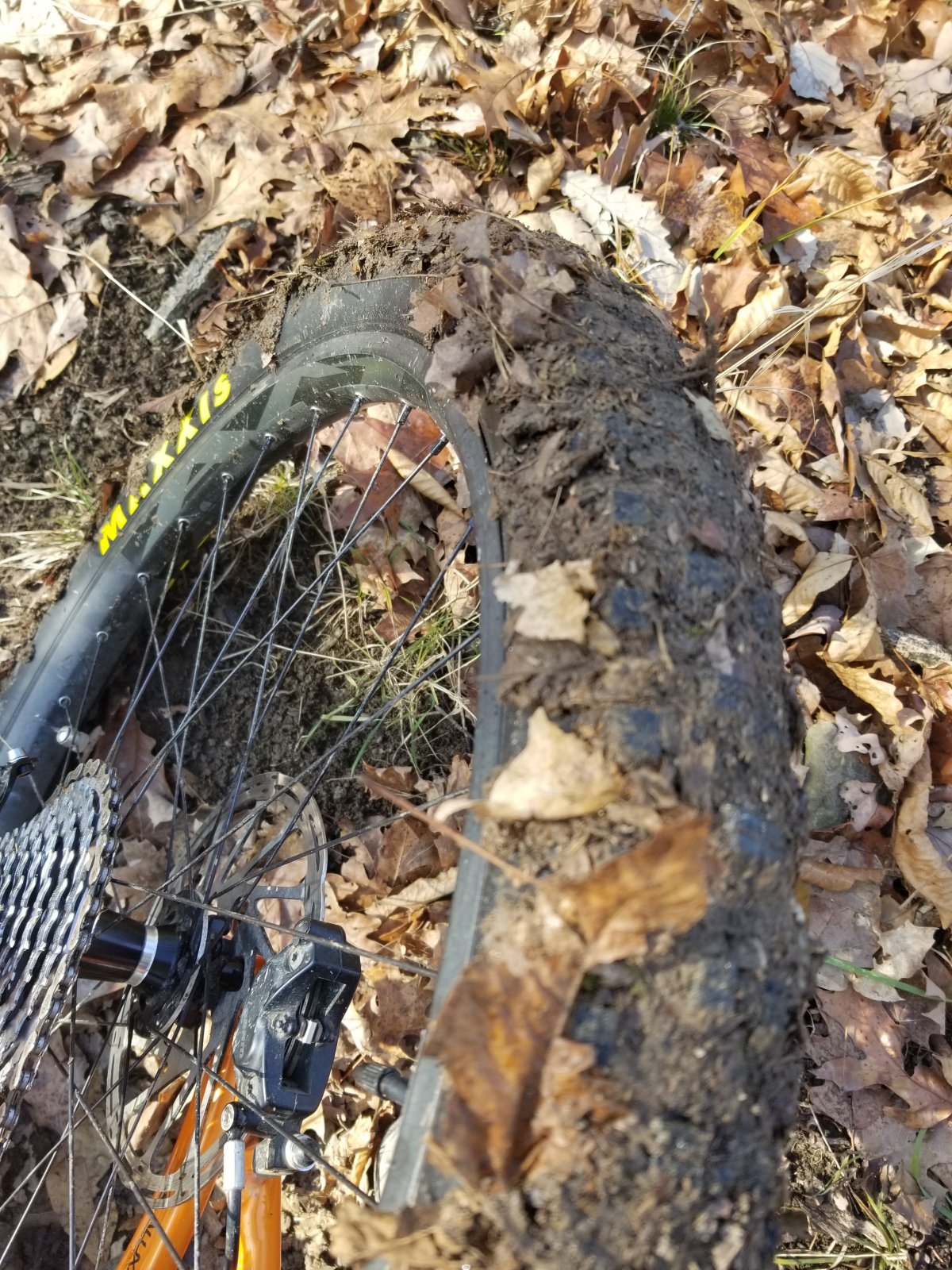 20191222_102728.jpg