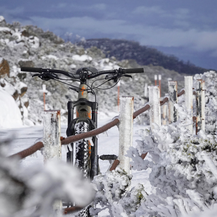 2020-turbo-levo-mtwellington1.jpg