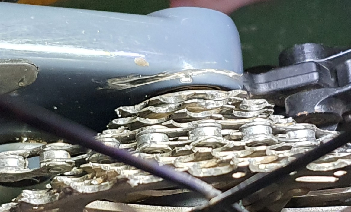 20200531_172209.jpg
