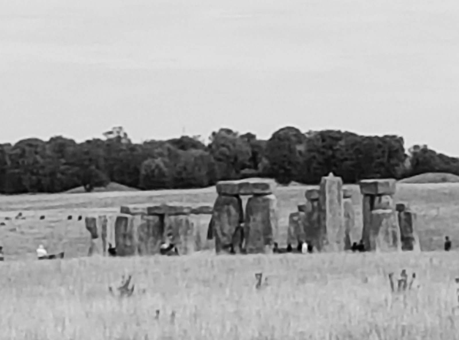 20200723_142914 (1).jpg