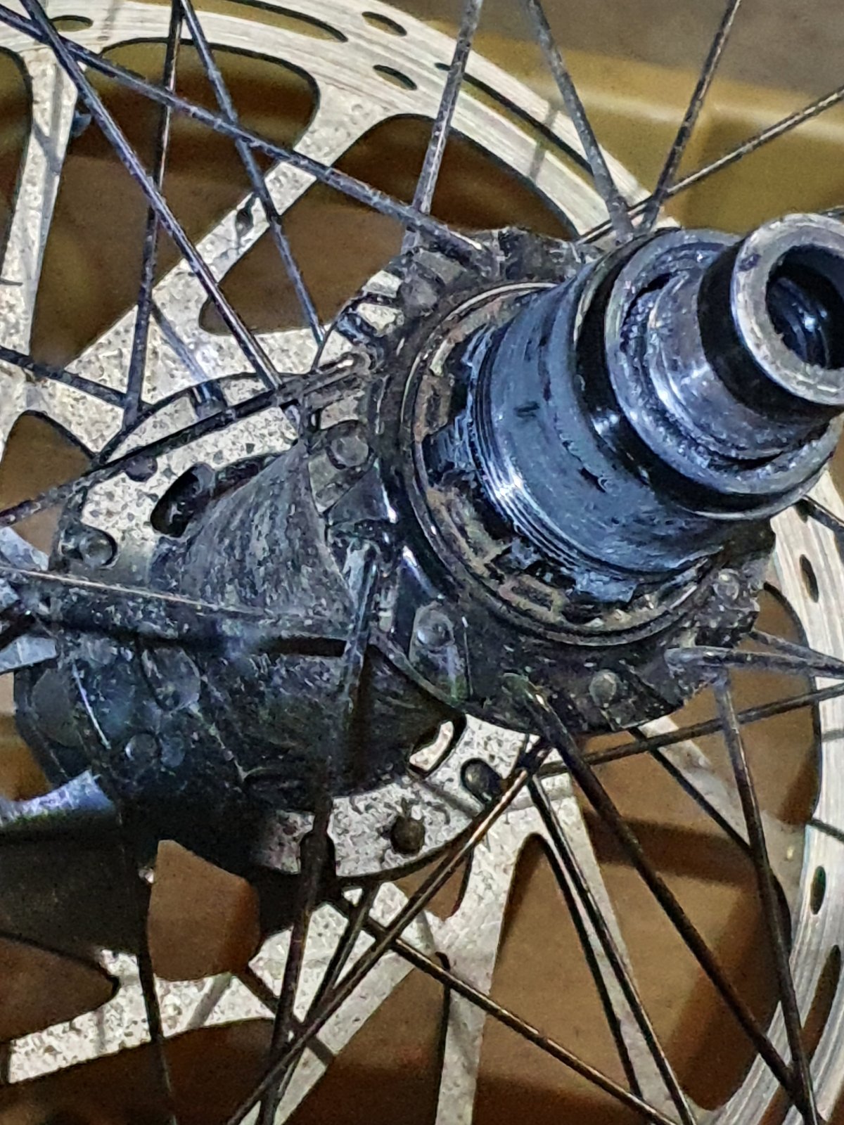 20200803_224233.jpg