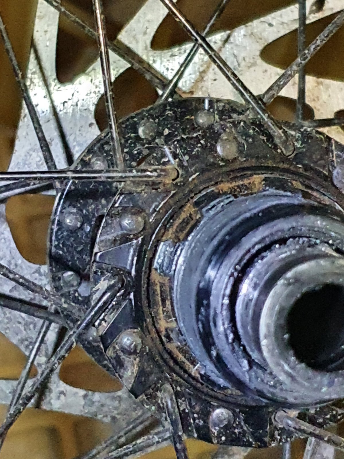 20200803_224253.jpg
