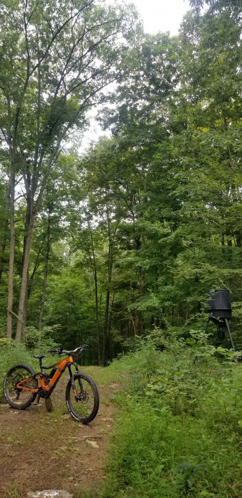 20200818_095857.jpg