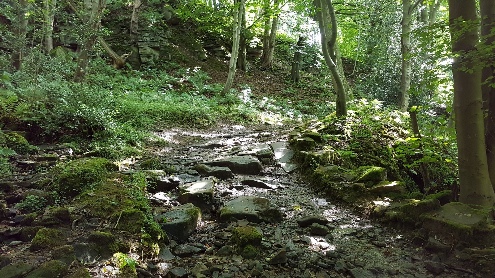 20200818_134115.jpg