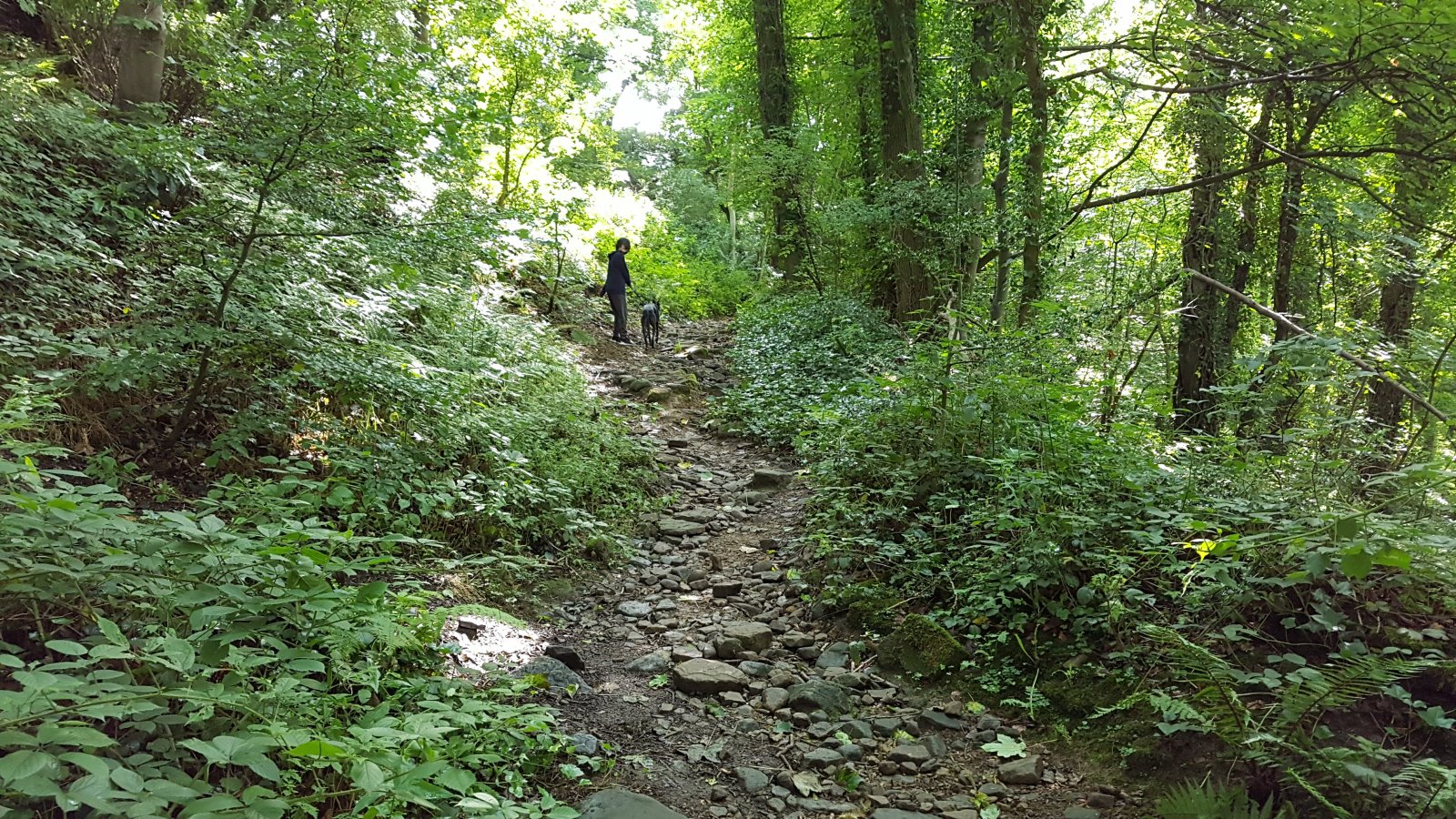 20200818_135631.jpg