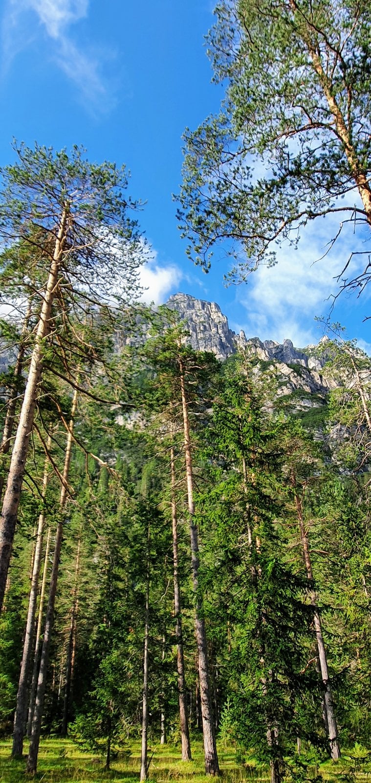 20200826_090830.jpg