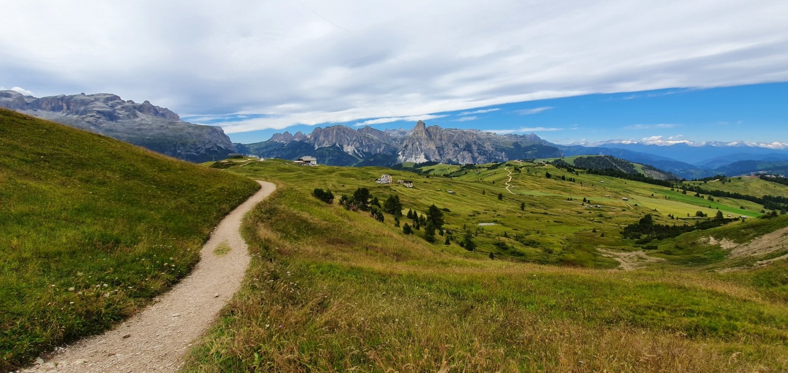 20200826_135555.jpg