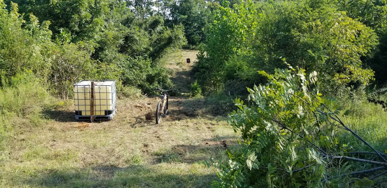 20200908_103635.jpg