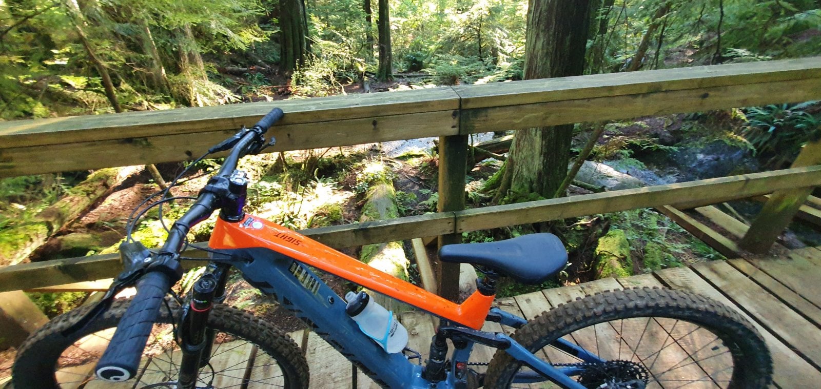 20200928_160345.jpg