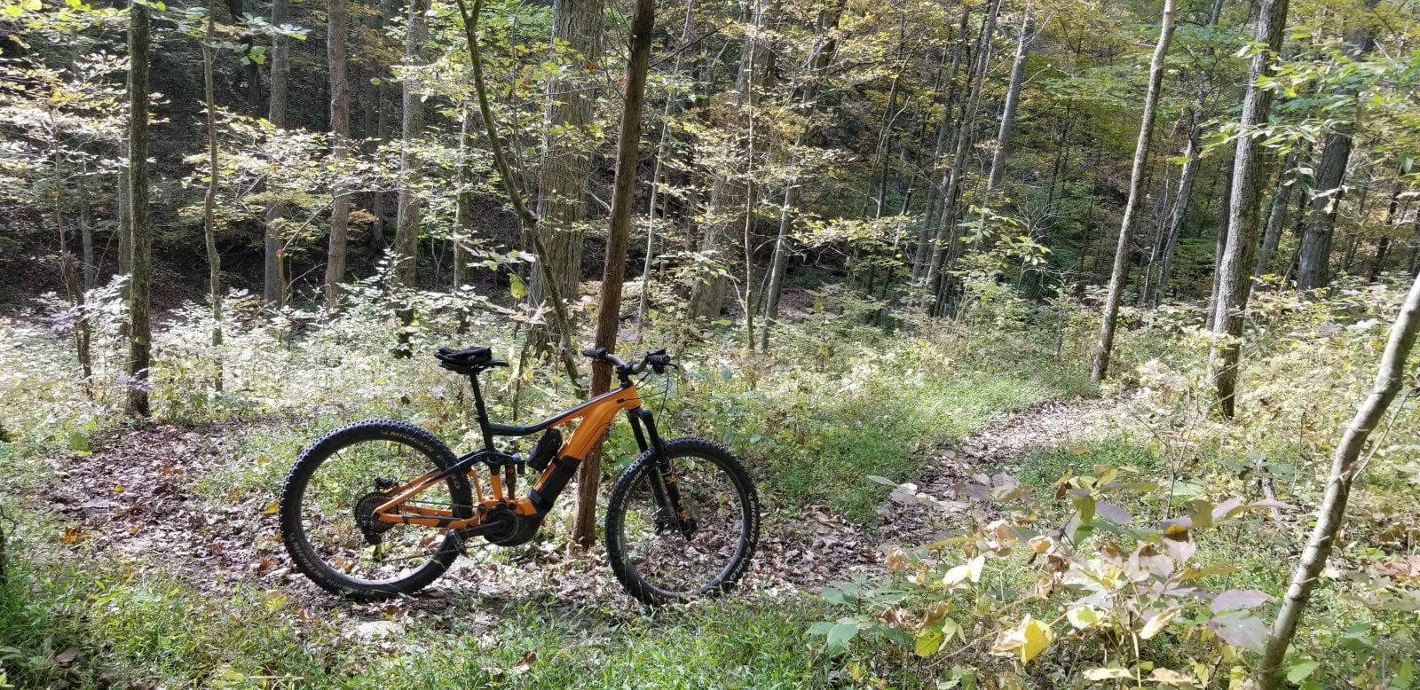 20201009_114446.jpg