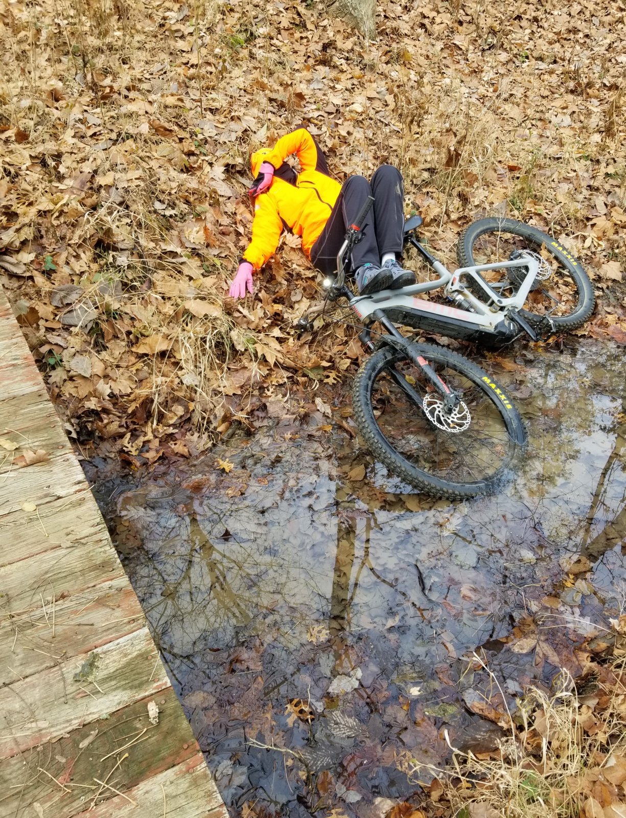 20201010_170237.jpg