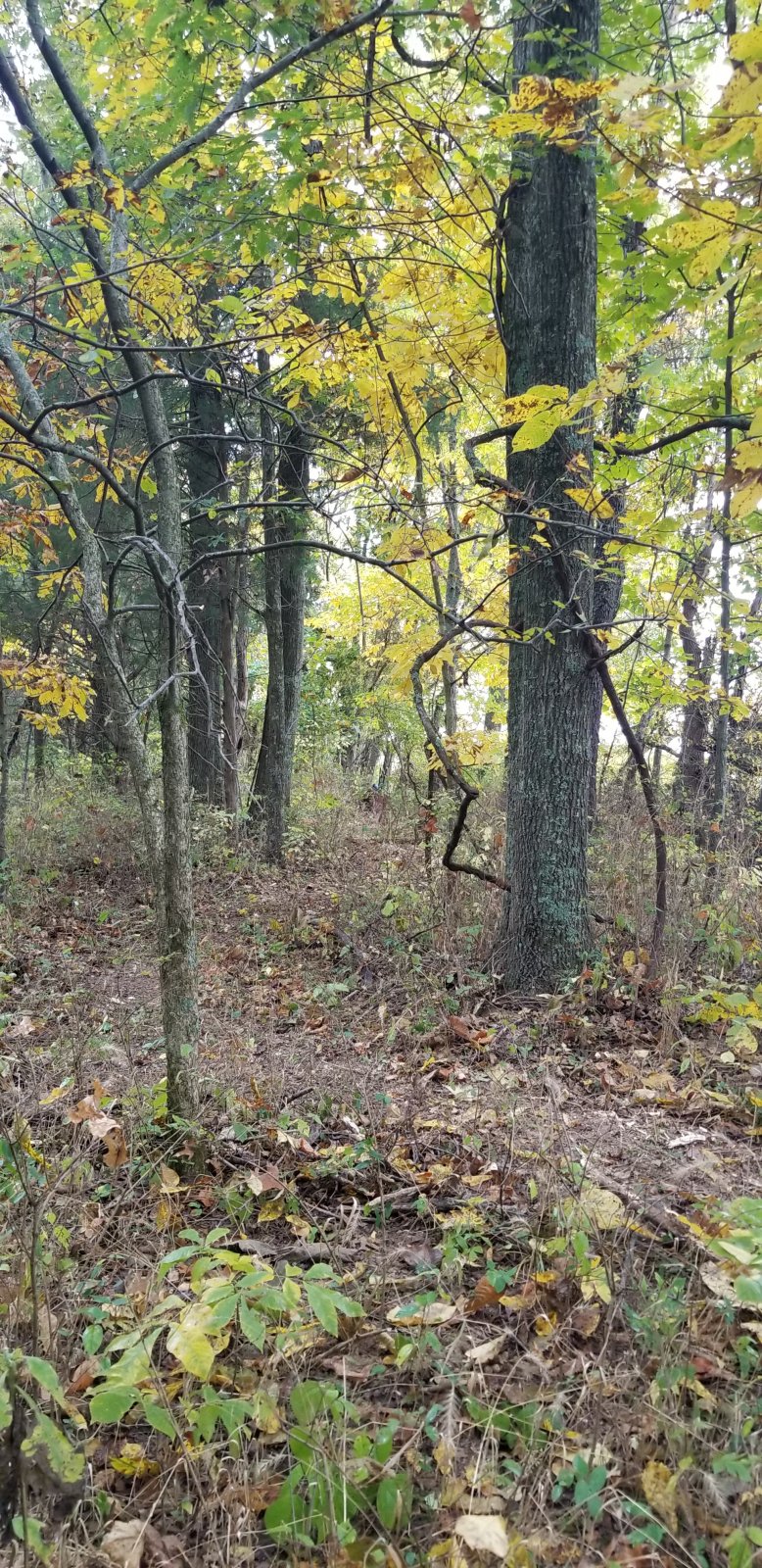 20201011_110359.jpg