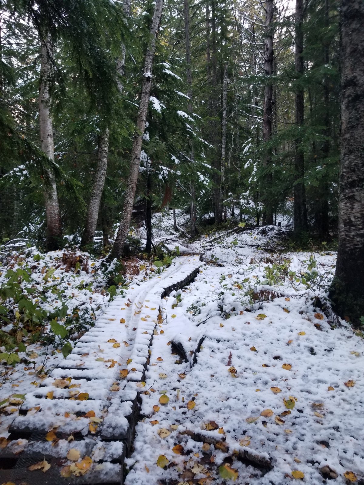 20201016_173833.jpg