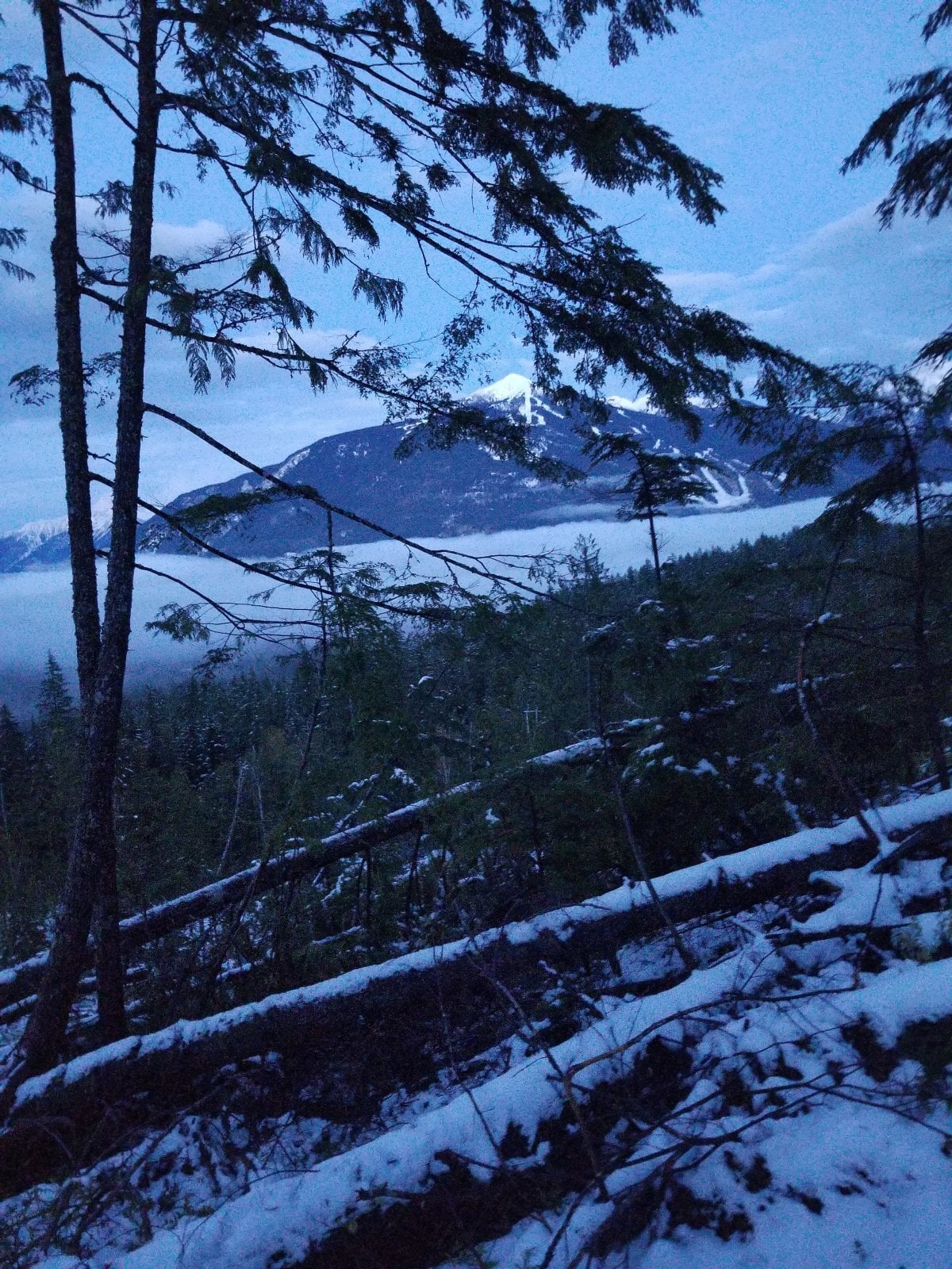 20201016_182026.jpg