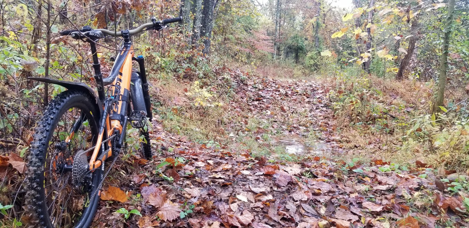 20201020_100451.jpg