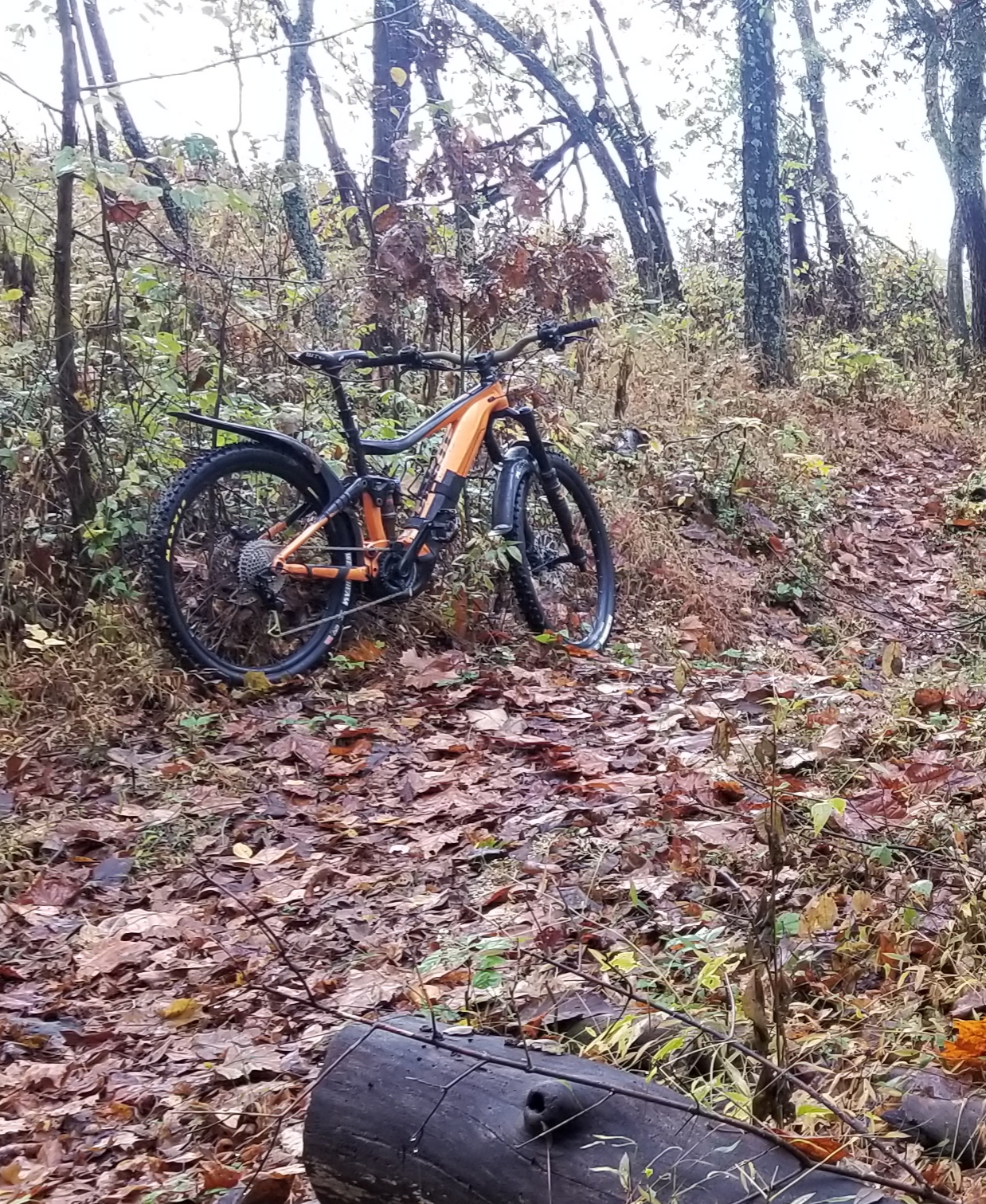 20201020_101326.jpg