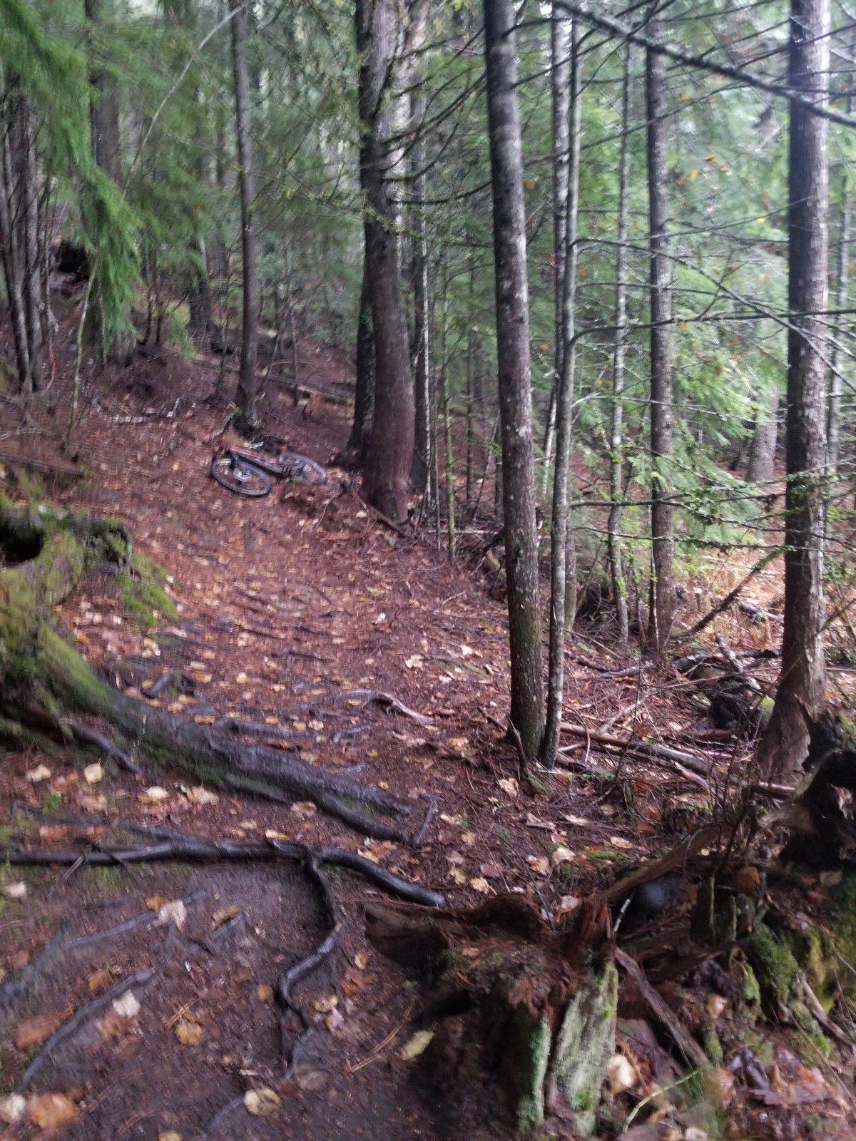 20201030_162358.jpg