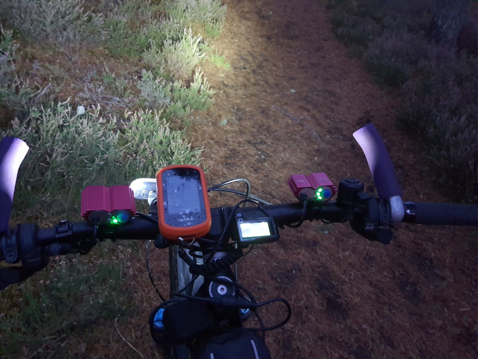 20201103_165018.jpg