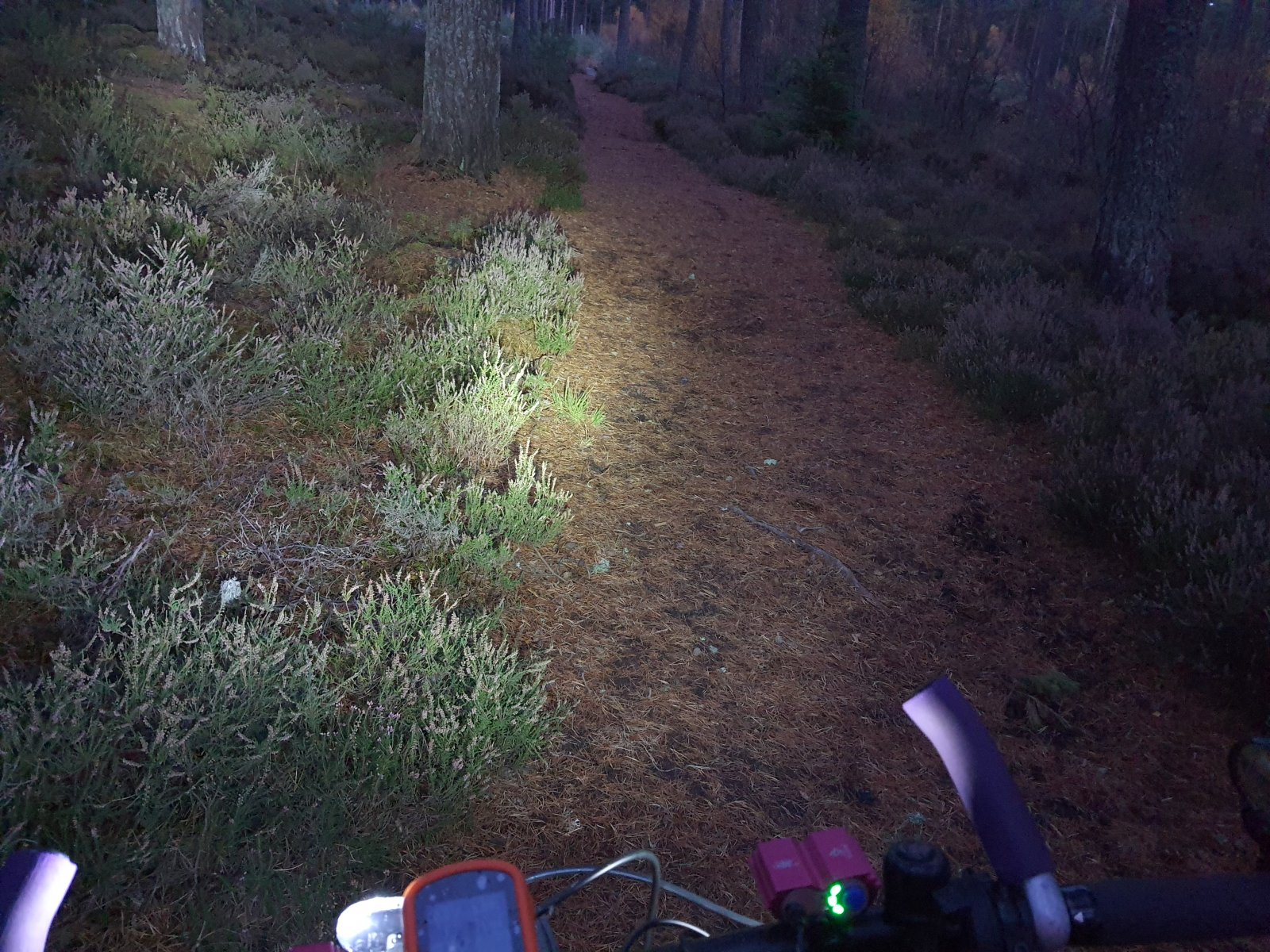 20201103_165022.jpg