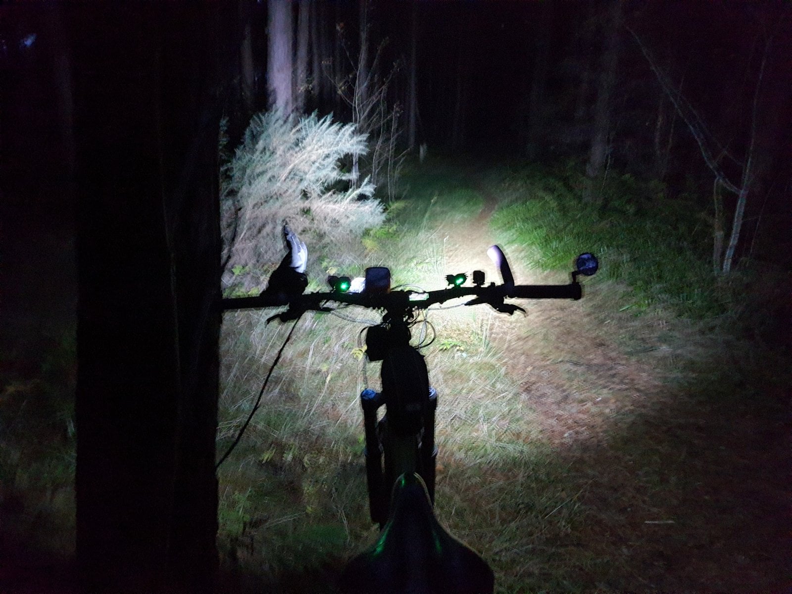 20201103_170728.jpg