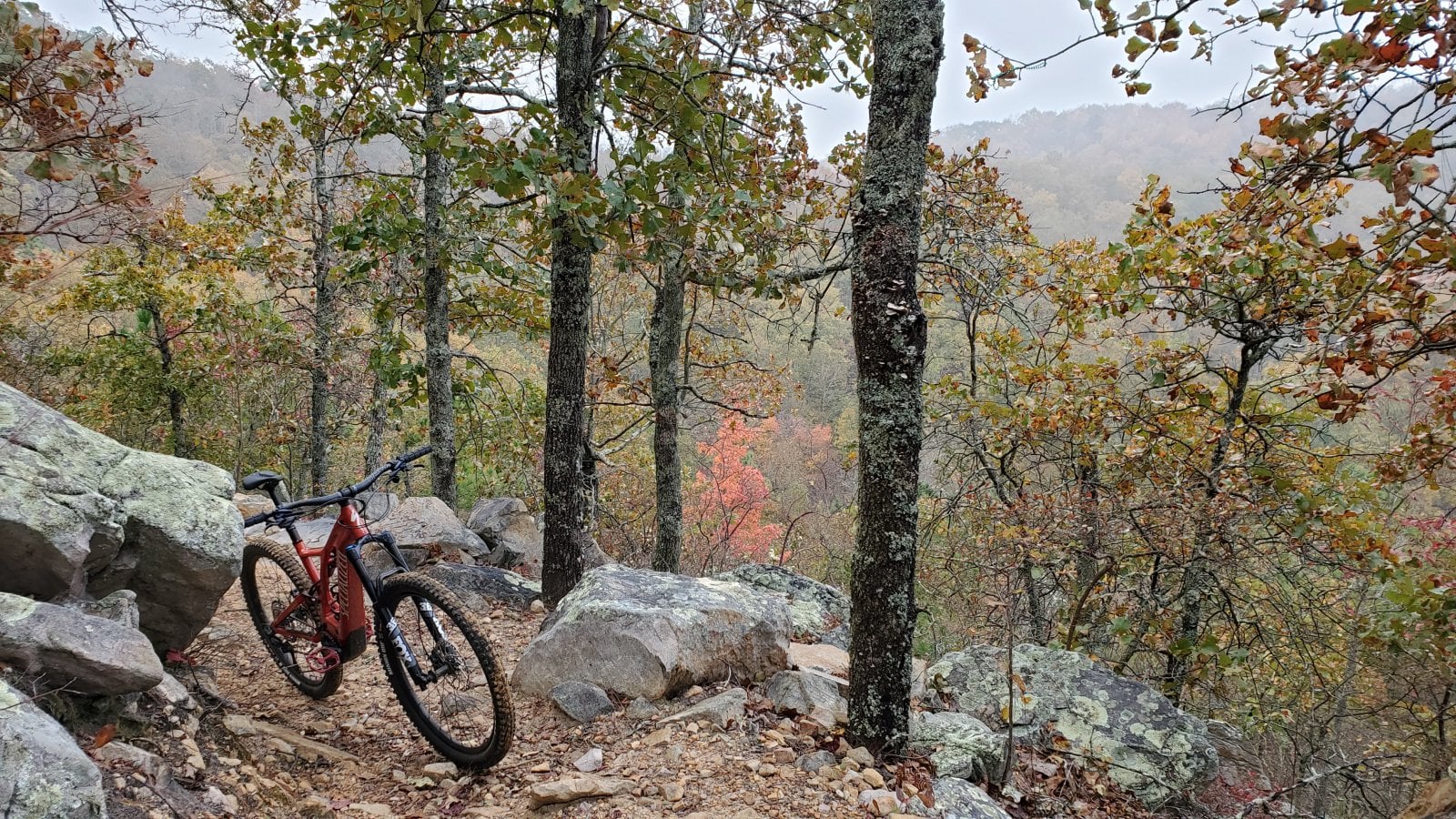 20201107_090326.jpg