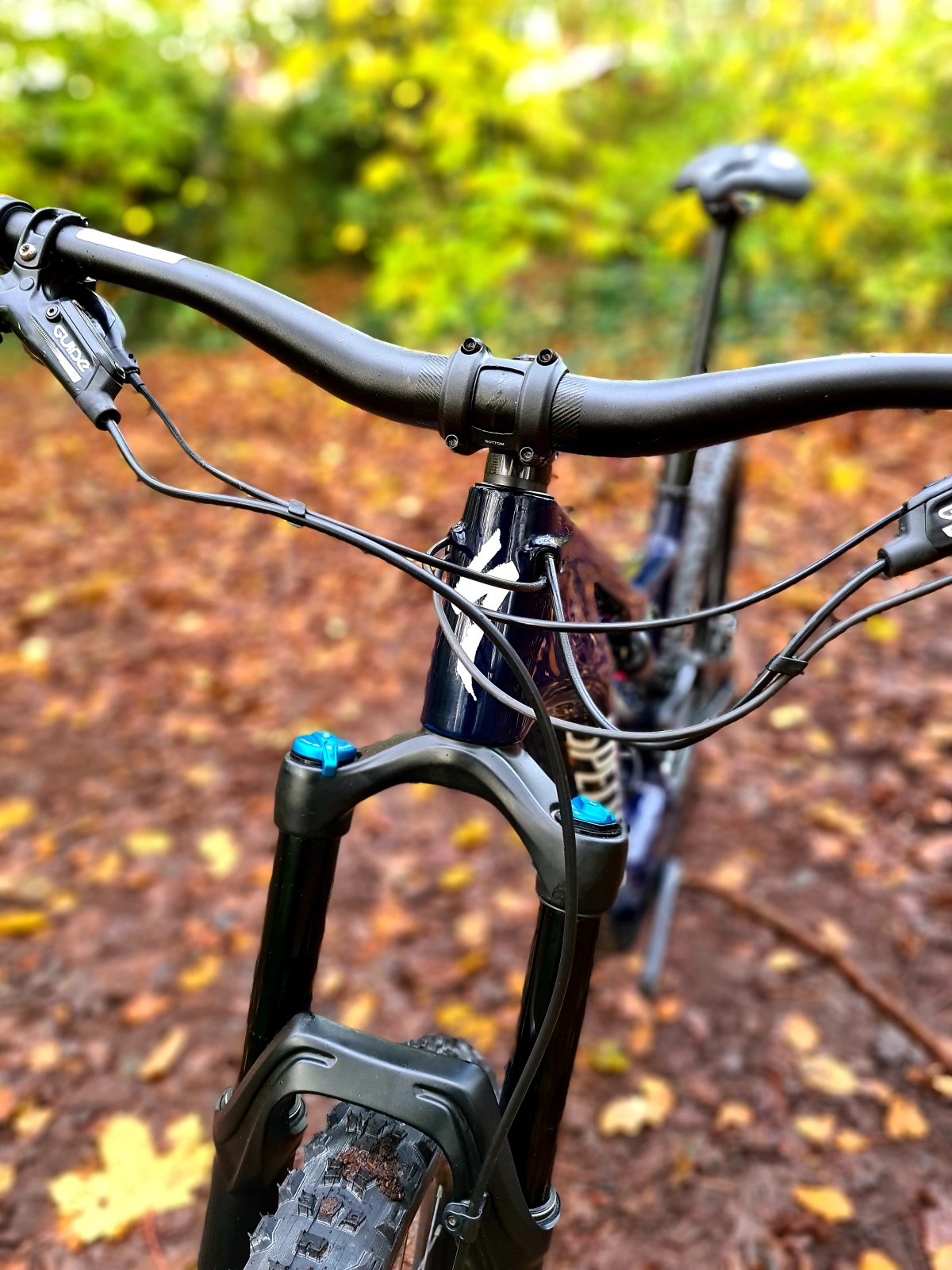 20201109_102832.jpg