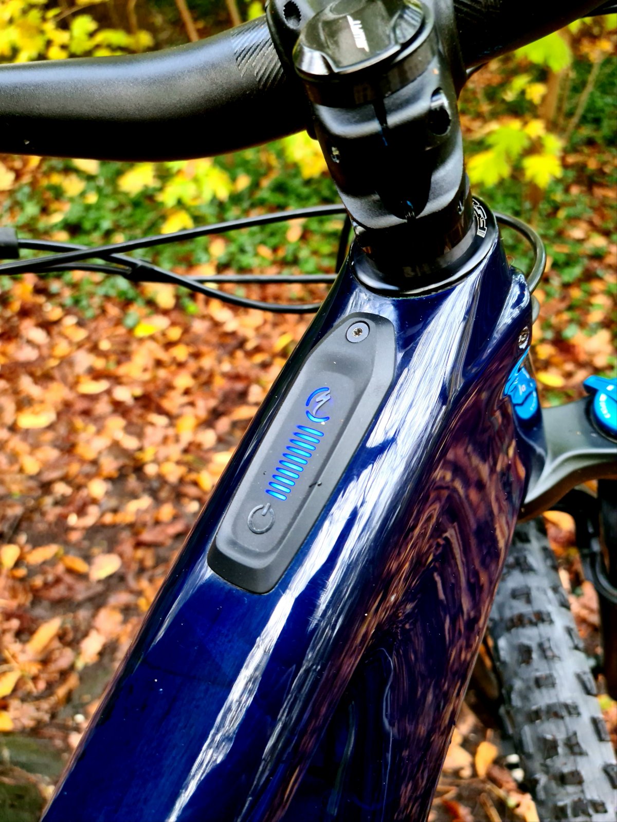 20201109_103045.jpg