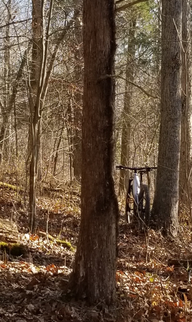 20201119_110410.jpg