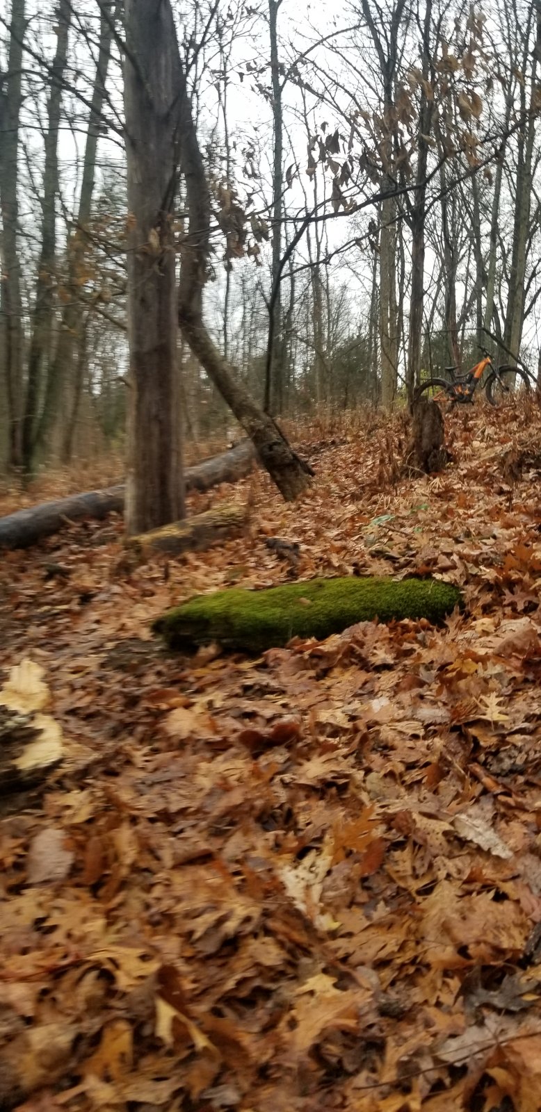 20201122_155908.jpg