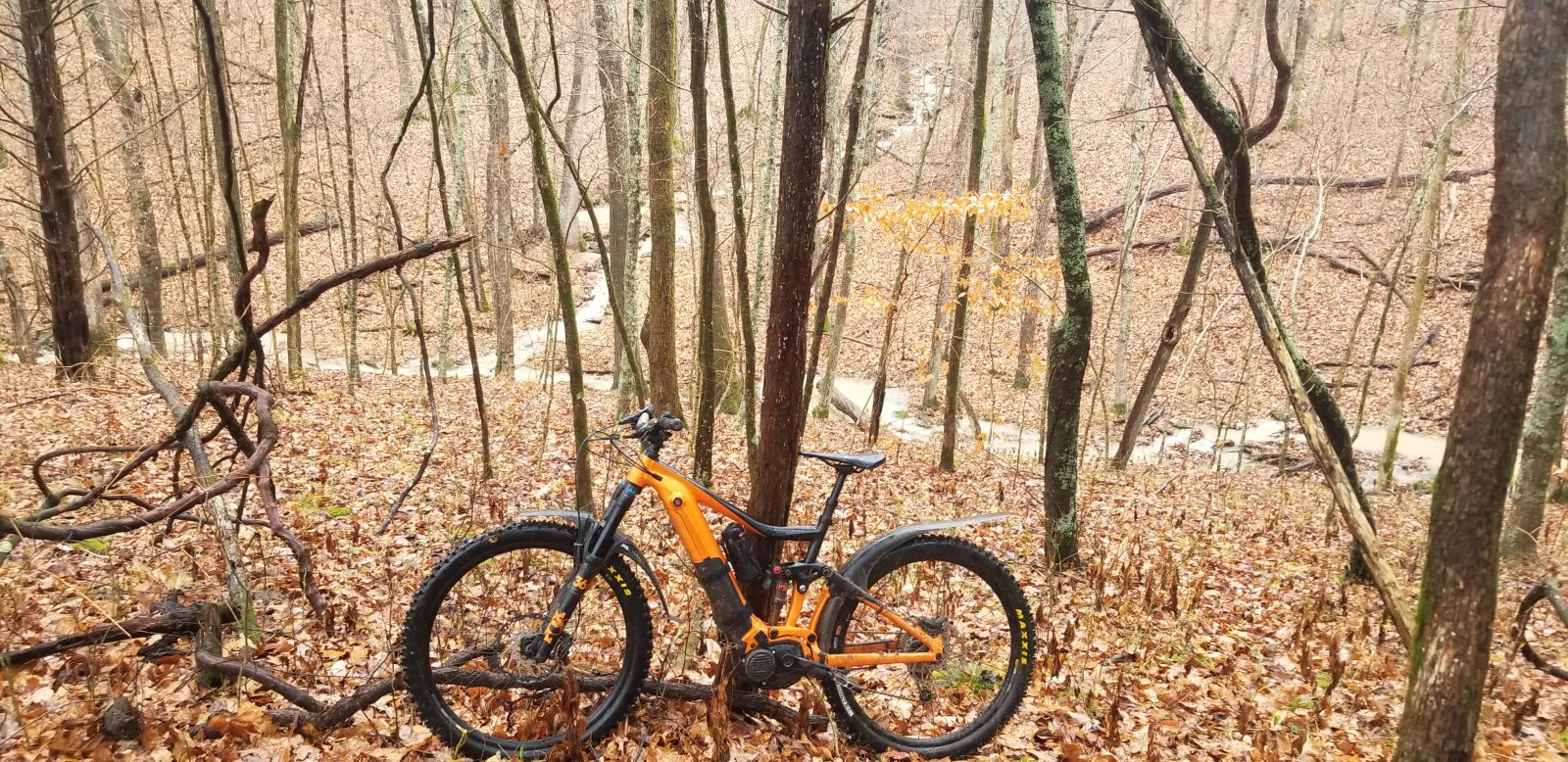 20201125_100932.jpg