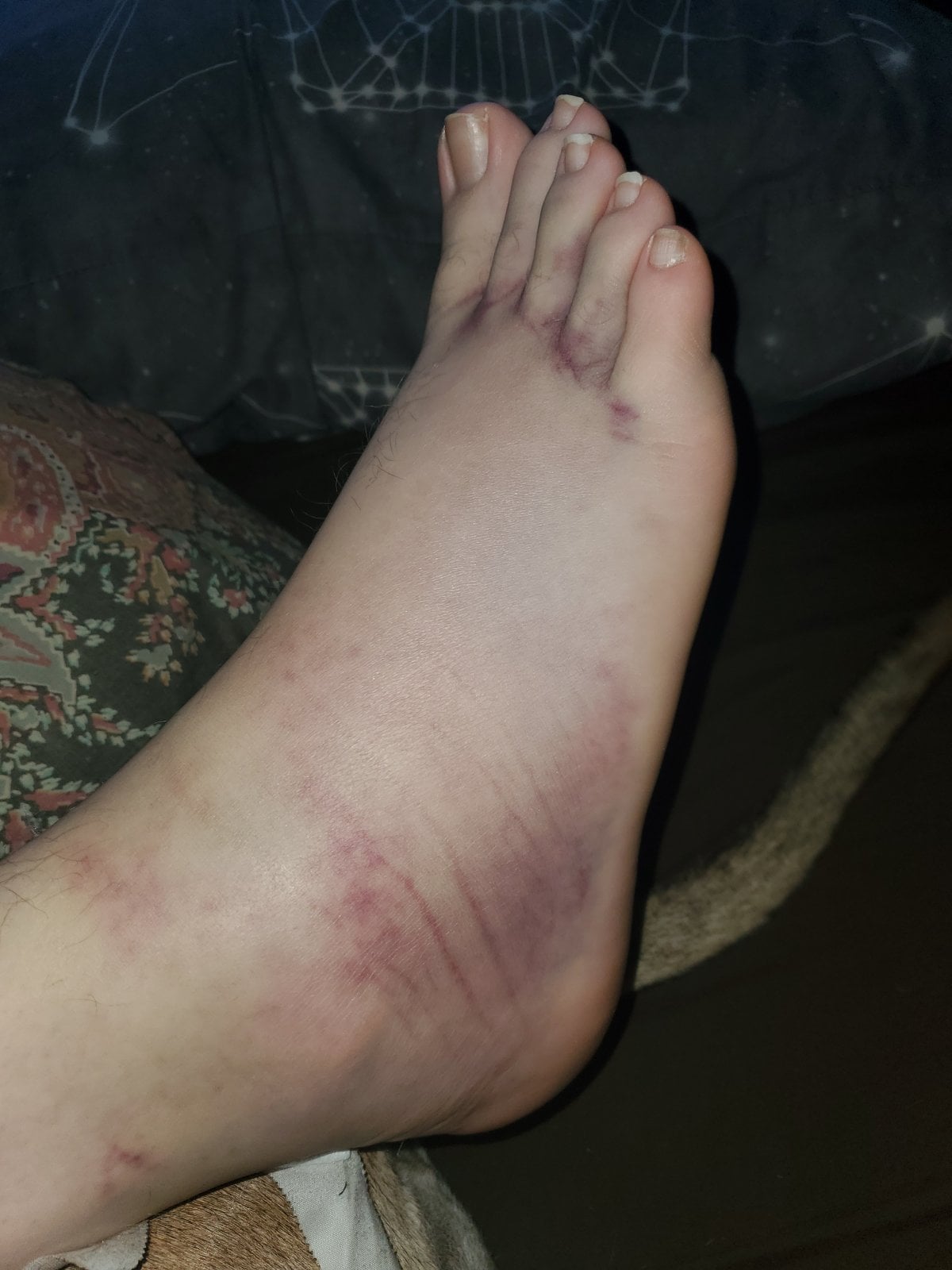 20201125_132657.jpg